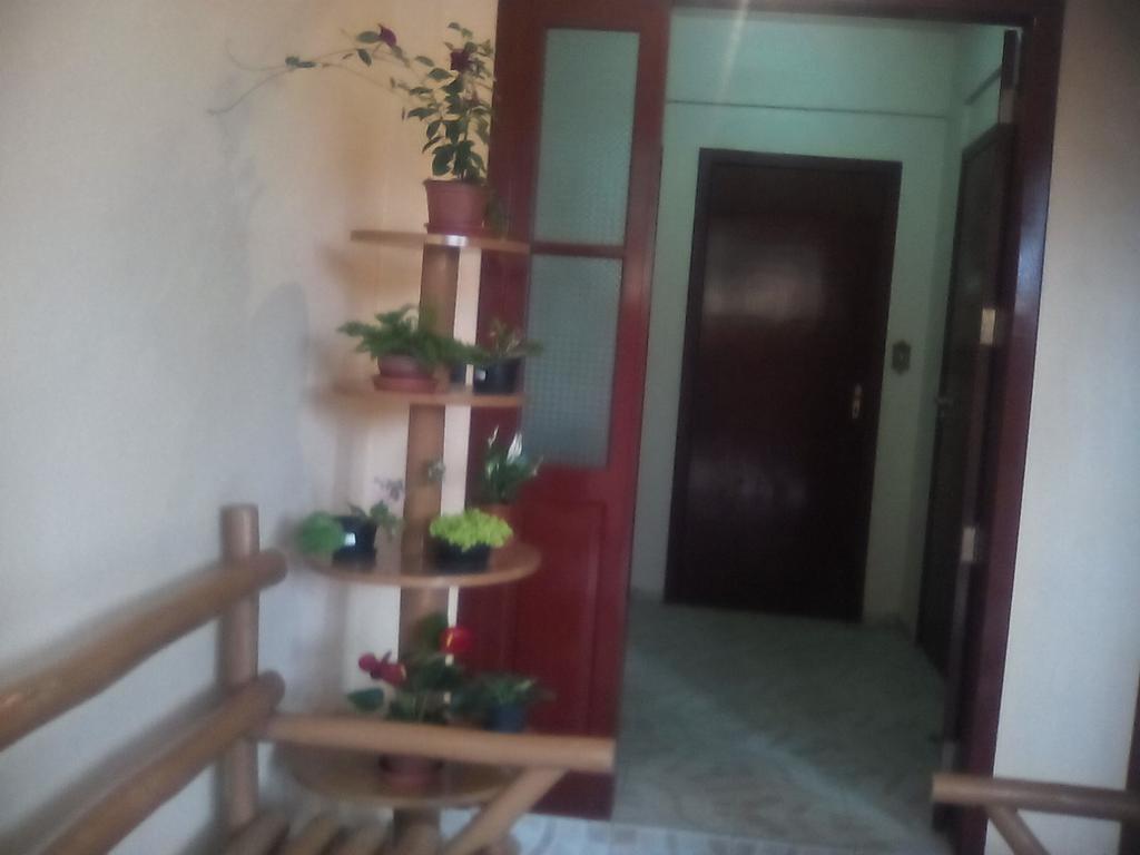Residencial Dona Vilma Hotel Florianópolis Esterno foto